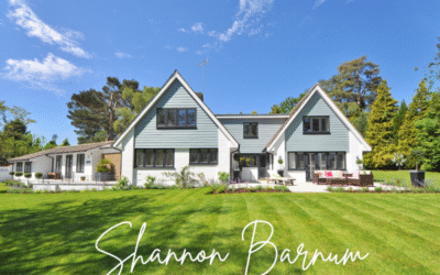 Minnesota homes for sale — modern single-family home with spacious lawn, represented by Shannon Barnum, Minnesota real estate expert.